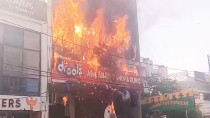 ভারতে কোচিং সেন্টারে ভয়াবহ অগ্নিকাণ্ড, শিক্ষার্থীসহ নিহত ১৪