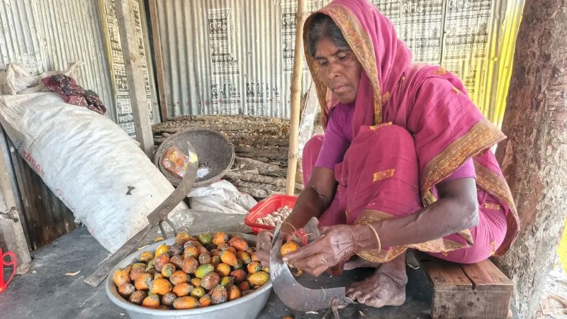 সুপারির খোসা ছাড়িয়ে নাটোরের শত শত নারীর ভাগ্যবদল
