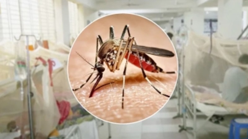 ডেঙ্গুতে ৫ জনের মৃত্যু, আক্রান্ত ১২৪